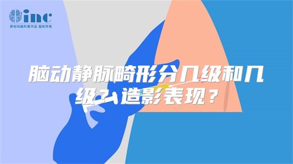 脑动静脉畸形分几级和几级？造影表现？