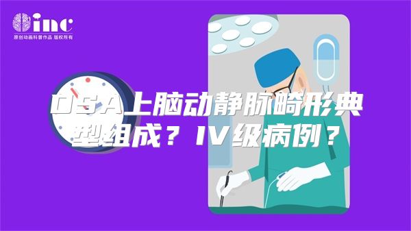 DSA上脑动静脉畸形典型组成？IV级病例？