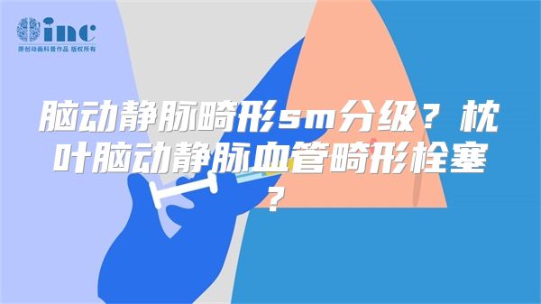 脑动静脉畸形sm分级？枕叶脑动静脉血管畸形栓塞？