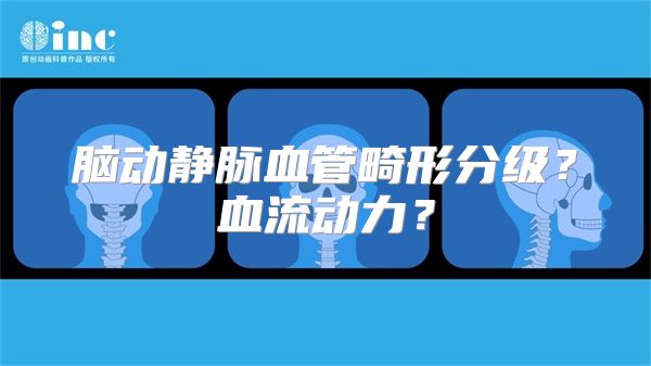 脑动静脉血管畸形分级？血流动力？