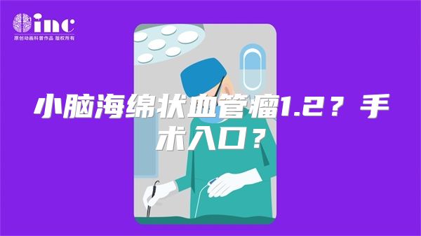 小脑海绵状血管瘤1.2？手术入口？