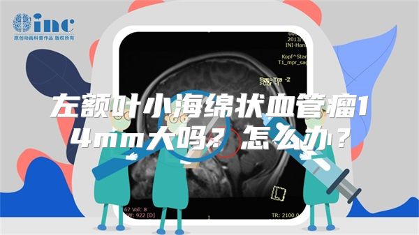 左额叶小海绵状血管瘤14mm大吗？怎么办？